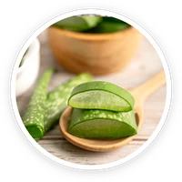 Aloe vera, one of the eight ingredients in Kerassentials