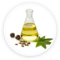 Undecylenic acid, one of the eight ingredients in Kerassentials
